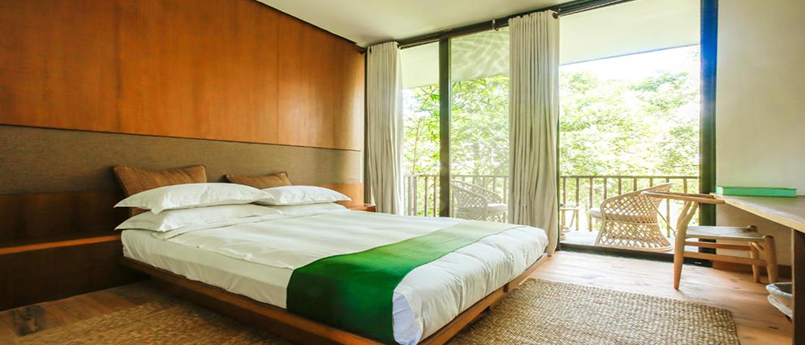 Chitwan Tour with Family Suite Room 