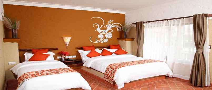 Super Deluxe Room with Chitwan Tour  