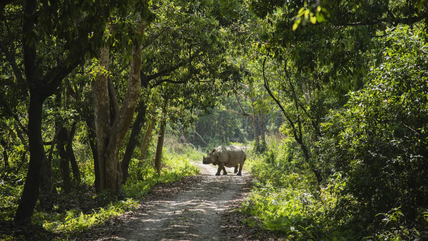 Chitwan