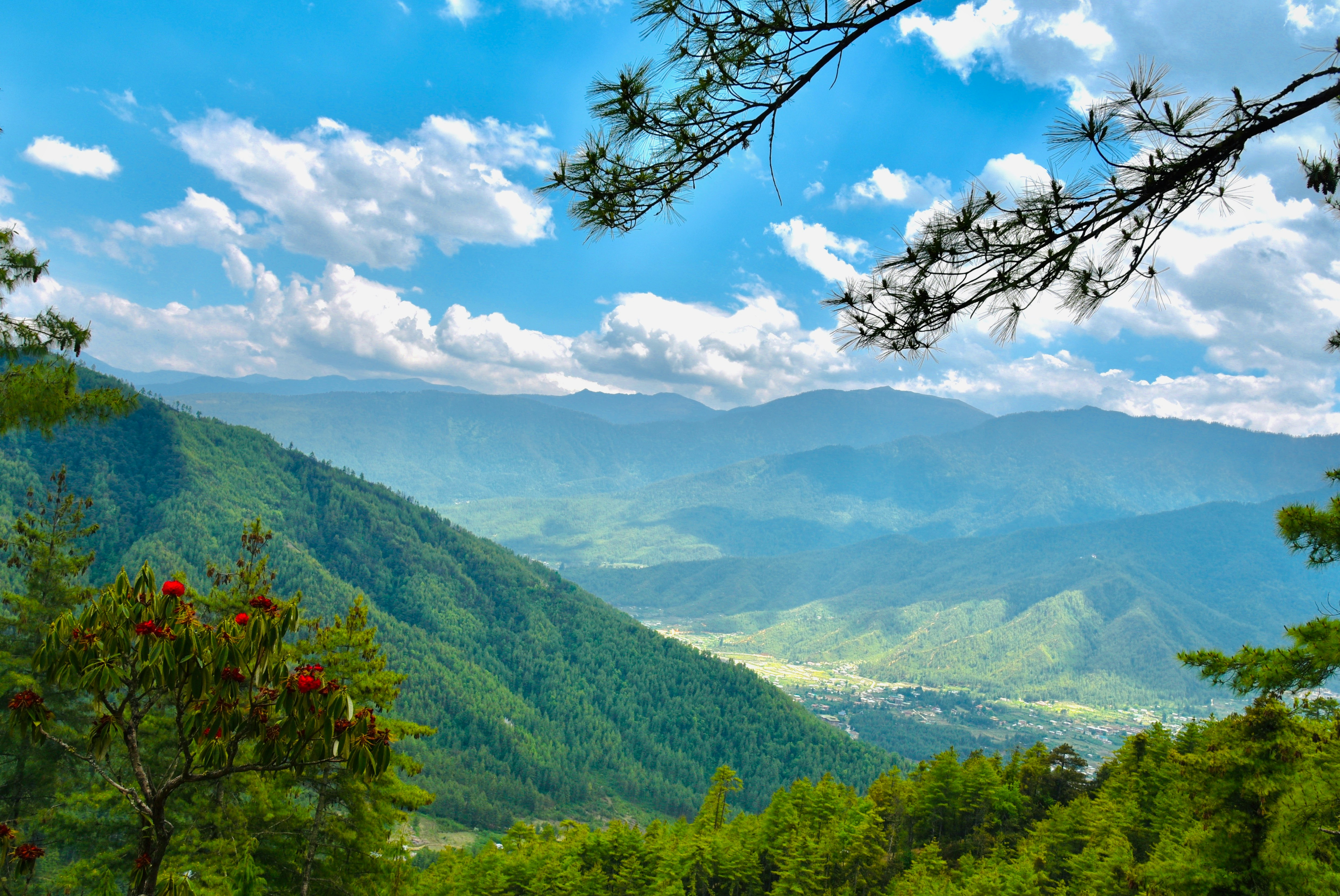 Paro Bhutan 