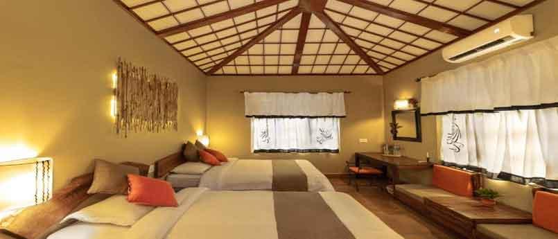 Standard Double or Twin Room